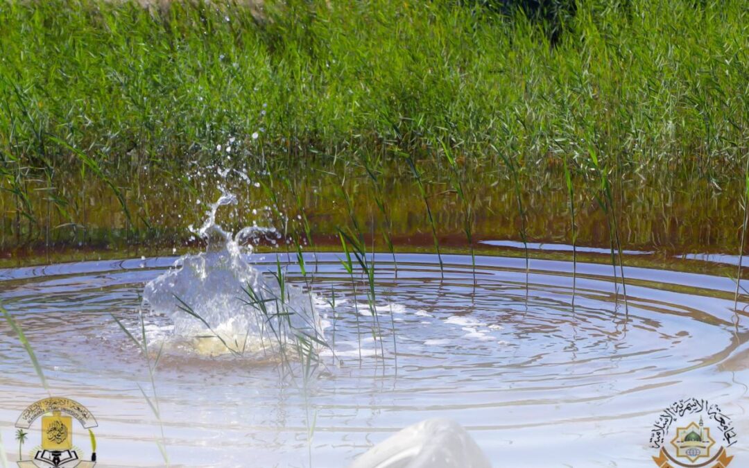 زيارة فريق كلية الآداب للمناطق المتضررة (النشيع -رماية -المنطرحة ) في بلدية زليتن من ظهور المياه الجوفية على سطح الأرض