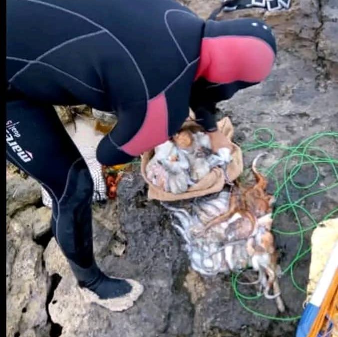 قريباً أكبر عملية رصد لتلوث البلاستيك في شواطيء زليتن الليبية